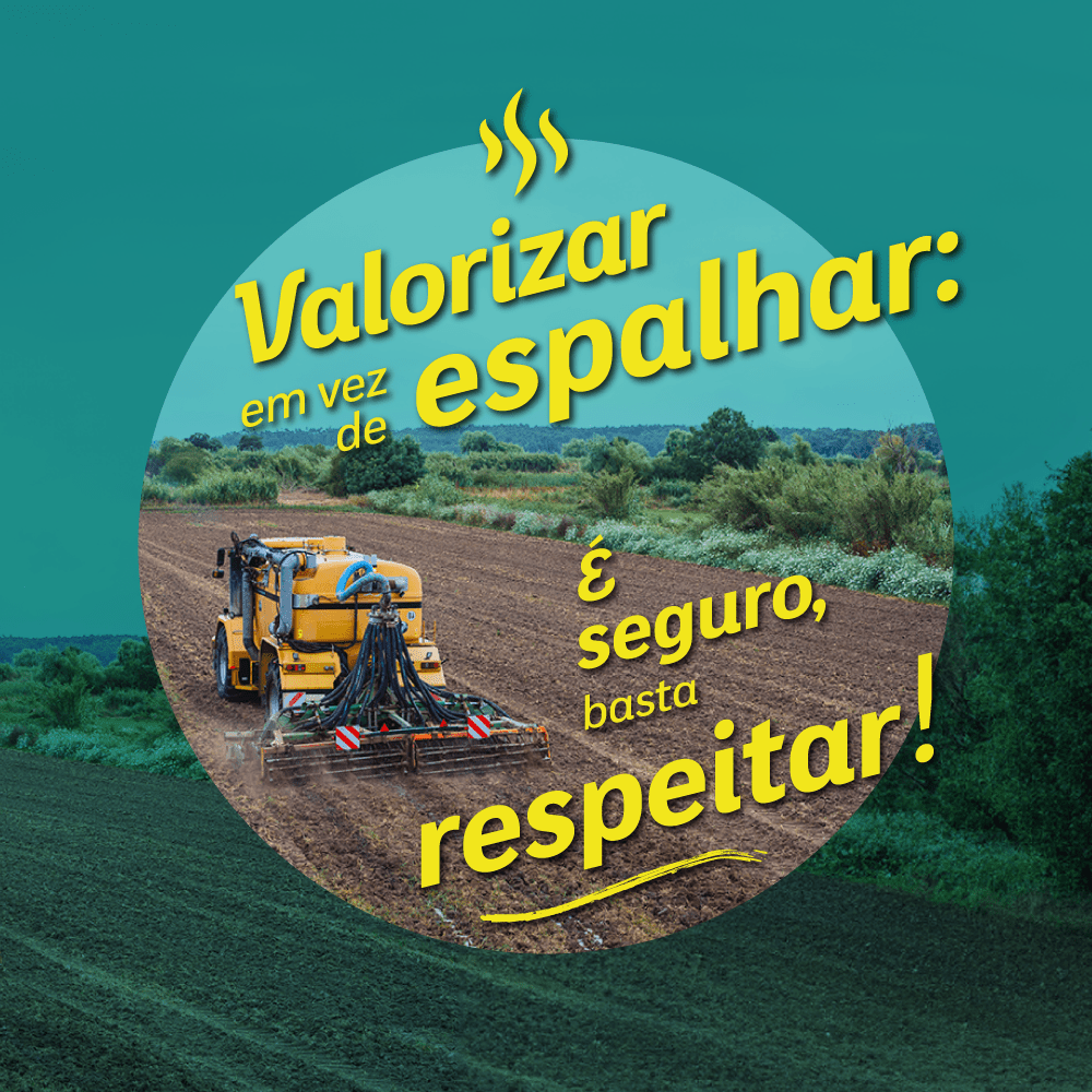 Valorizar em vez de espalhar!